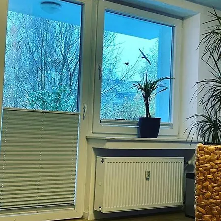 Feworose 50qm Max 3 Erw. Oder 2 Erw. & 2 * Winterberg