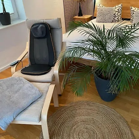 Apartmán Feworose 50qm Max 3 Erw. Oder 2 Erw. & 2 Winterberg